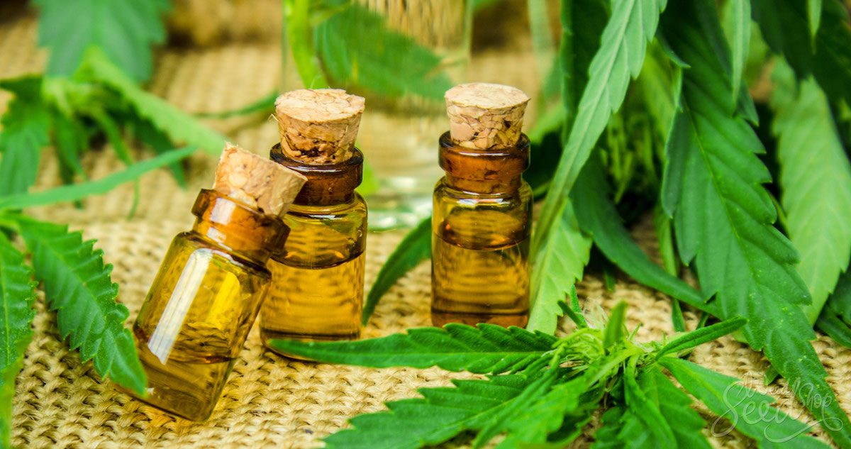cannabis tinctures